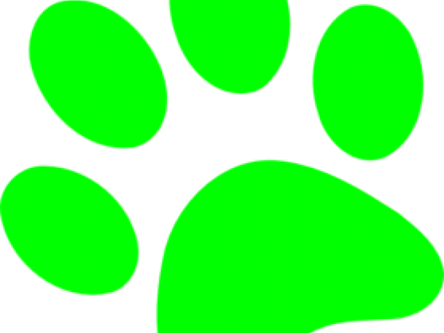 Circle Clipart (640x480), Png Download