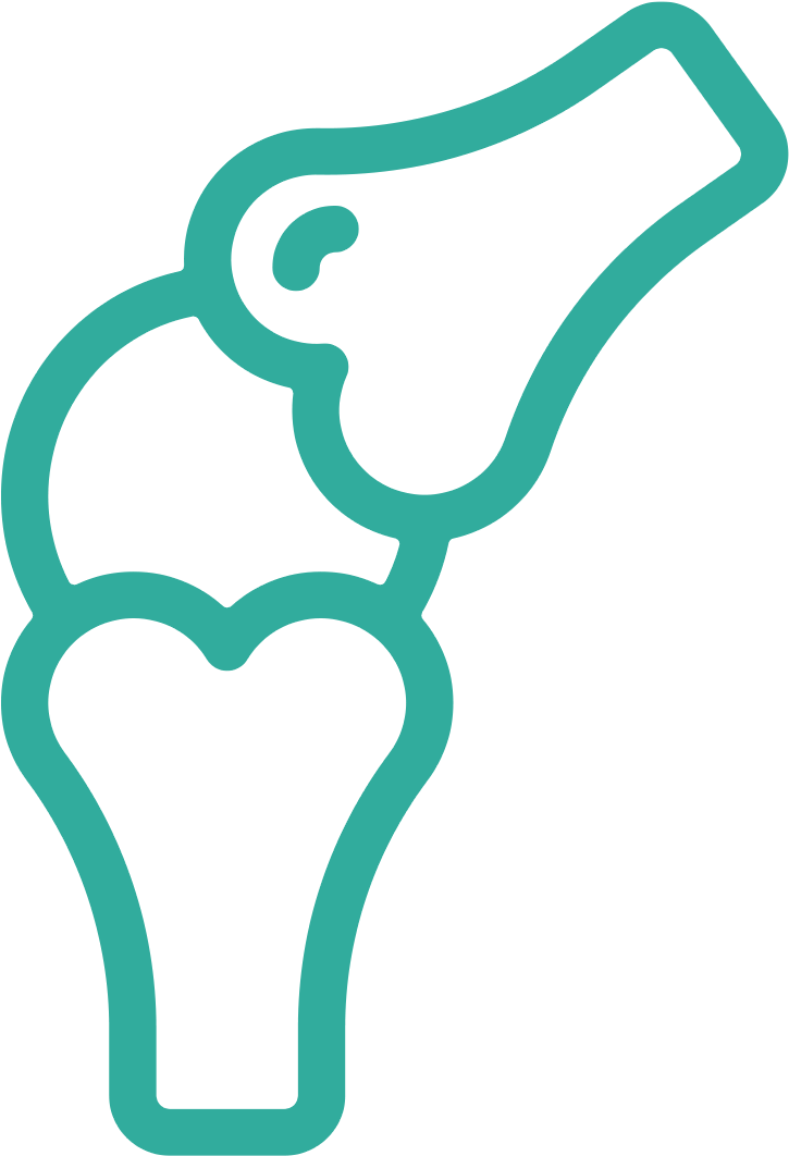 Bone Health - Ortopedia Png Clipart (1080x1080), Png Download