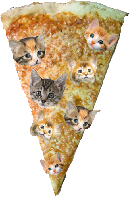 Pizza Png - Kittens Clipart (496x750), Png Download