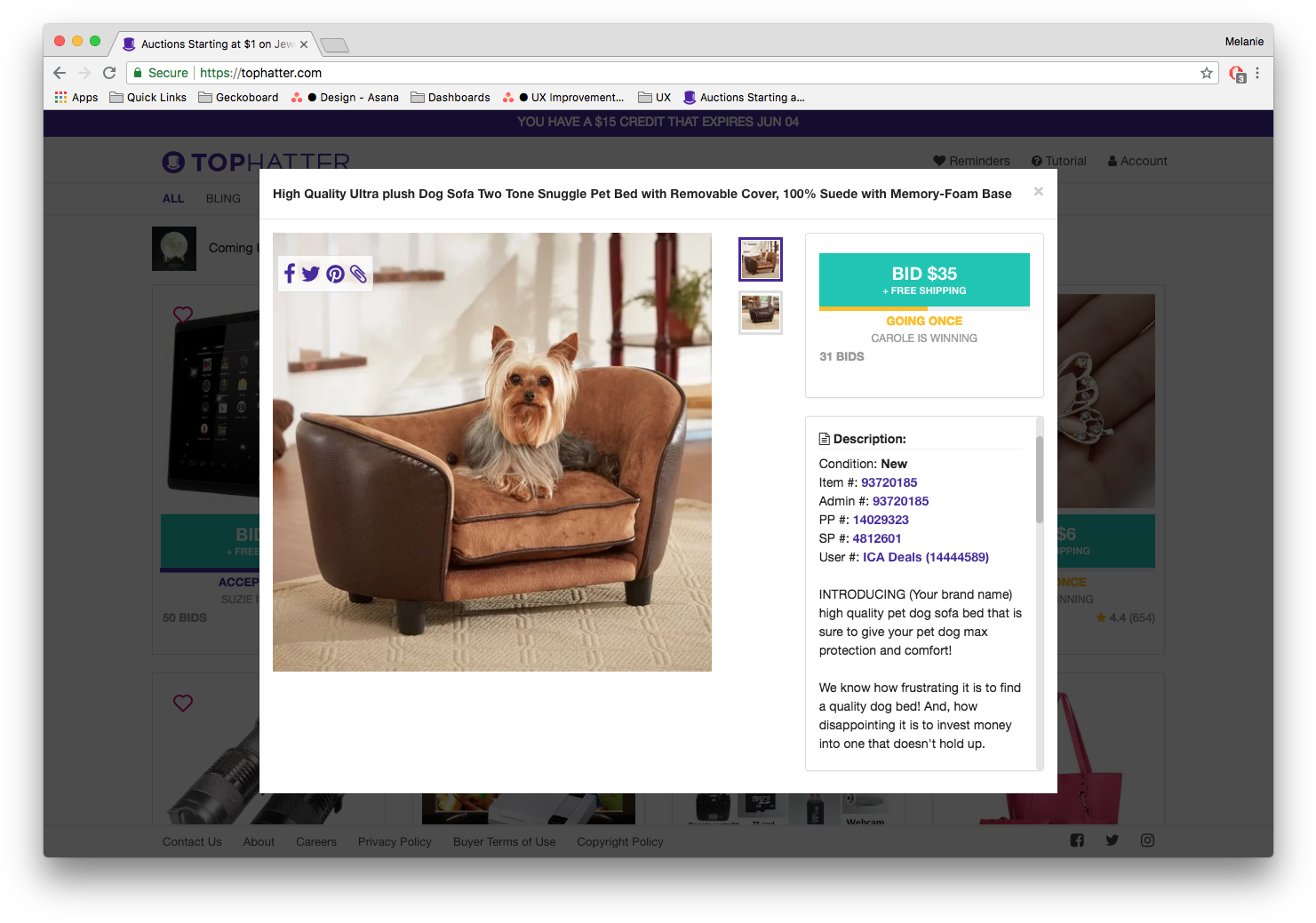 Product Listings Best Practices Sofa Para Yorkshire Clipart Large