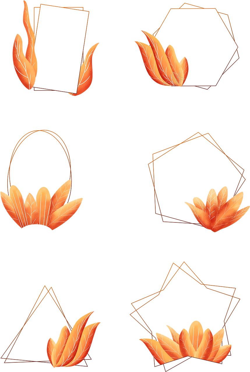 Coral Orange, Orange Color, Leaf Border, Plant Leaves, Clipart (1024x1369), Png Download