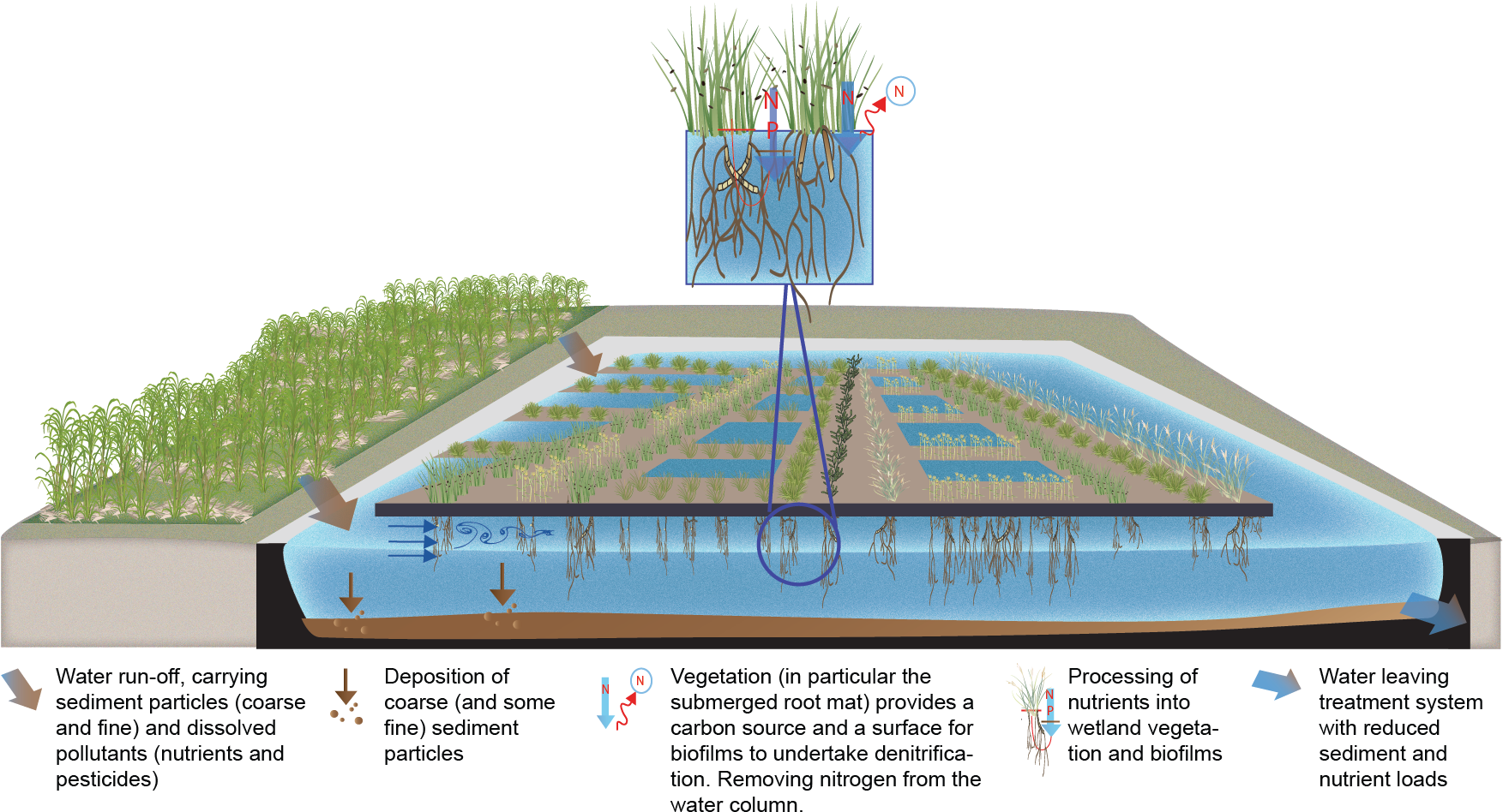 Floating Wetlands - Floating Wetland Design Clipart (1901x956), Png Download