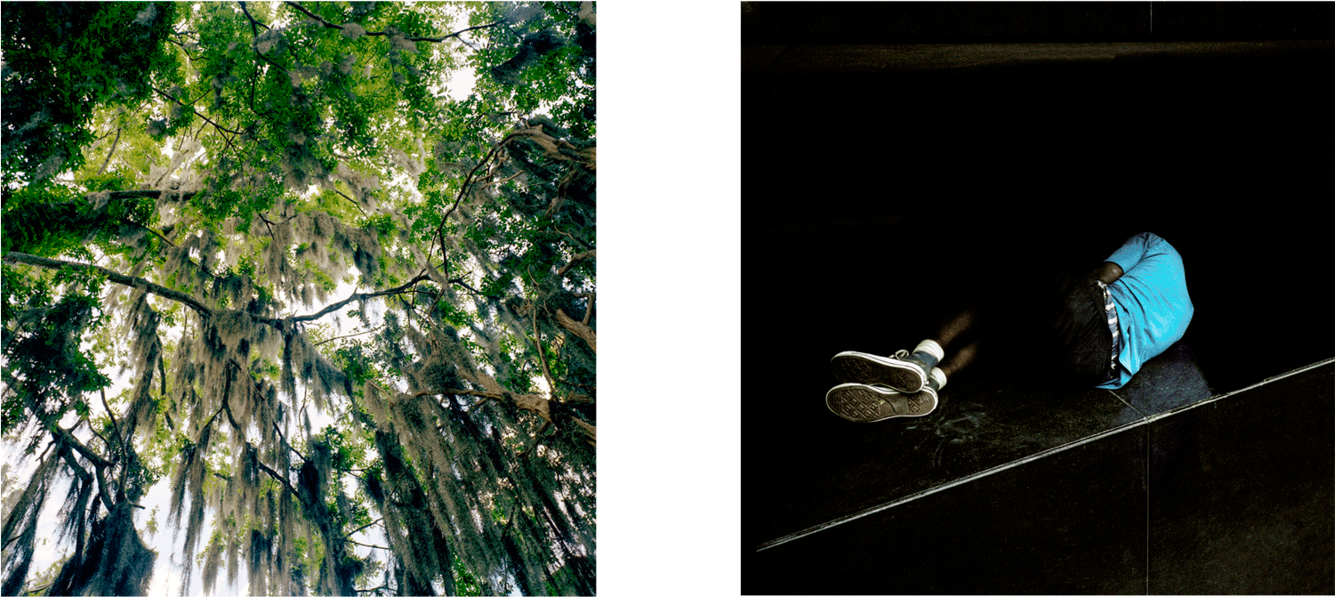 Phroom Magazine // International Research Platform - Tree Clipart (1500x763), Png Download