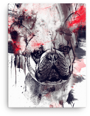 French Bulldog Splatter Canvas - Pug Clipart (600x600), Png Download