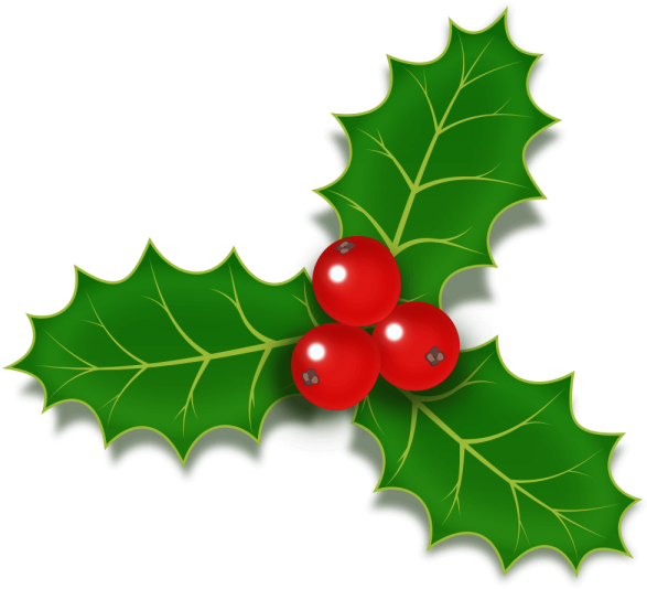 Holly Berries Icon Psd - Christmas Holly Berries Clipart (587x534), Png Download