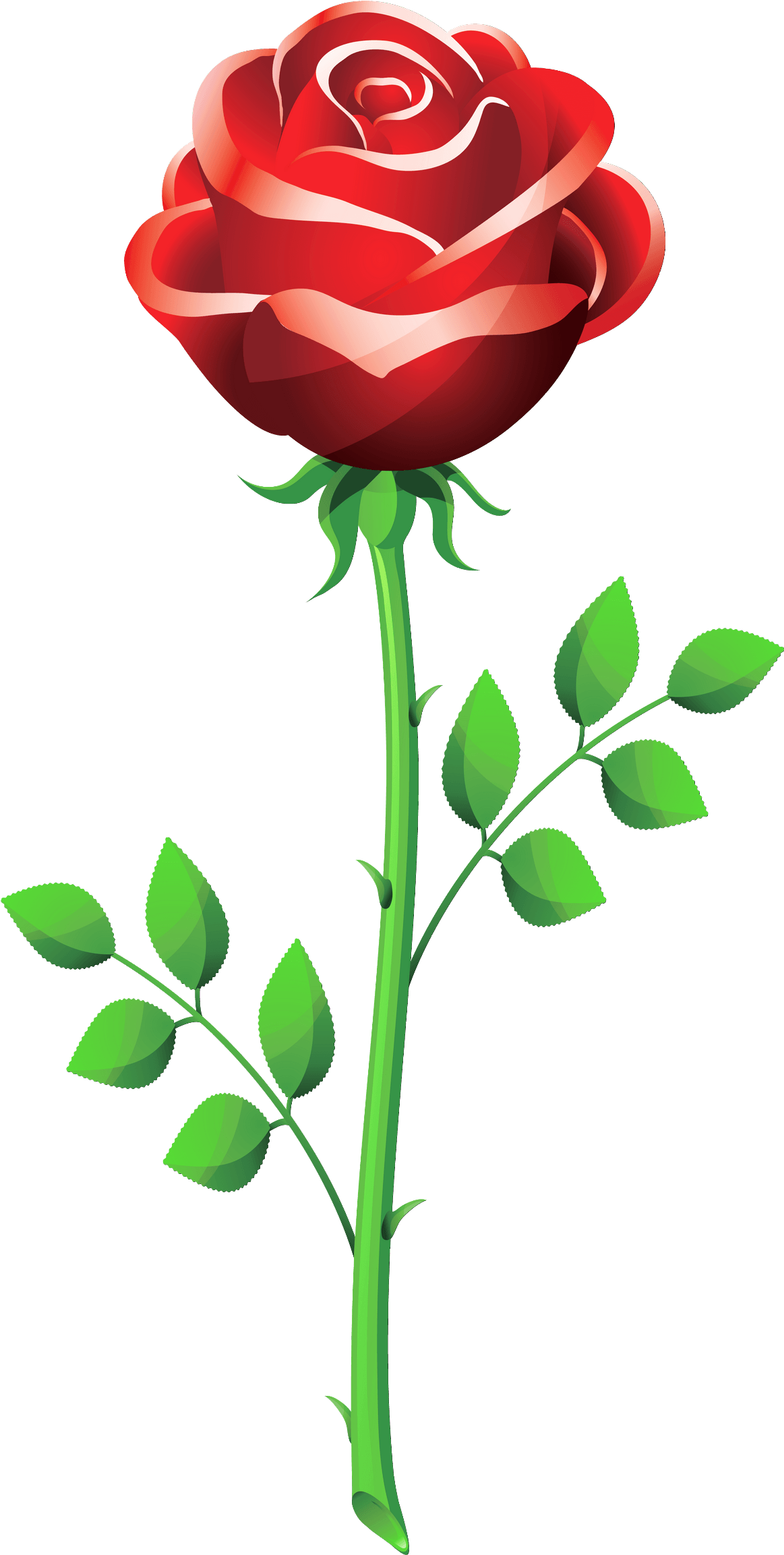 Rose Png - Vector Rose Flower Png Clipart (1223x2395), Png Download
