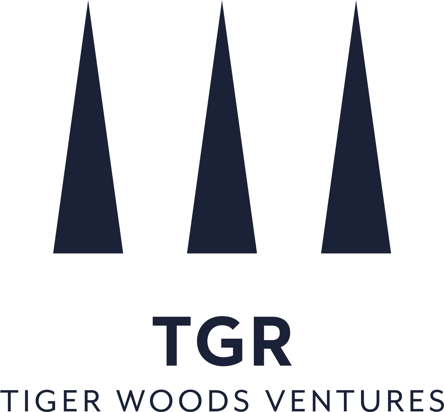 Triangle Clipart (1575x1575), Png Download