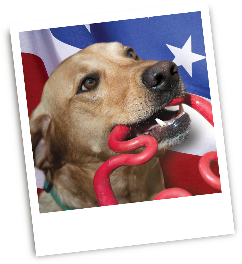 The Ruffdawg Blog / Made In The Usa - Dog Yawns Clipart (1212x1043), Png Download