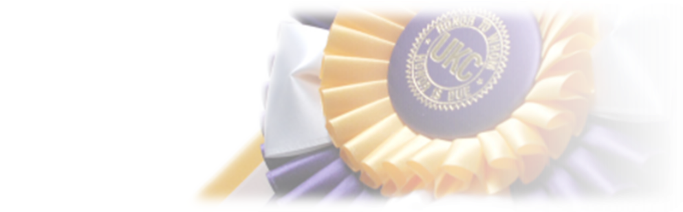 Sandwich Cookies Clipart (1000x310), Png Download