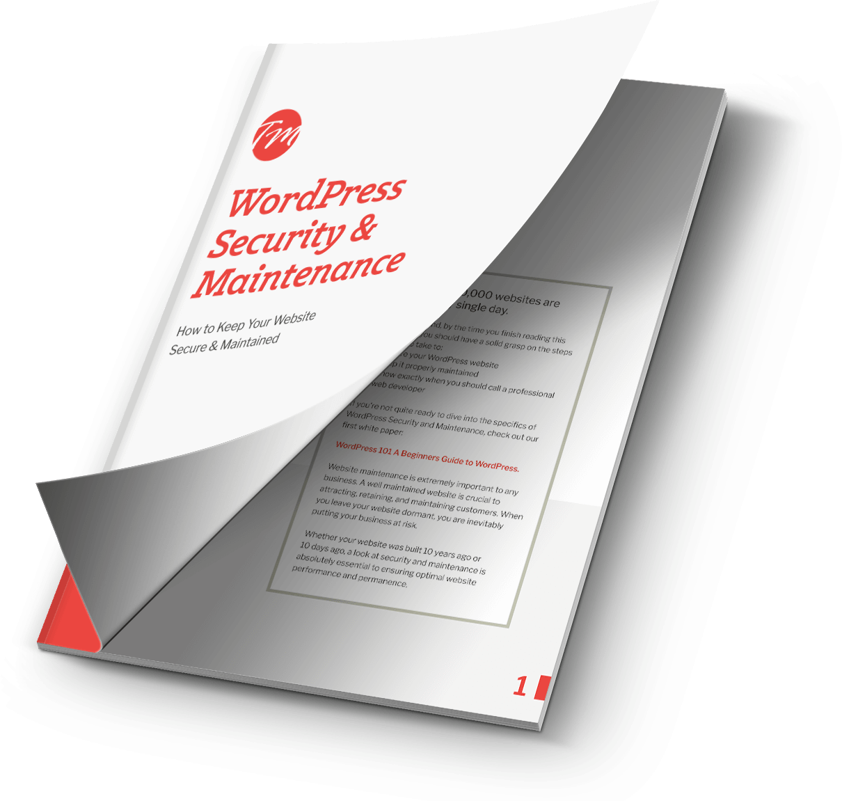 Wordpress Security & Maintenance Pdf Resource - Brochure Clipart (1210x1151), Png Download