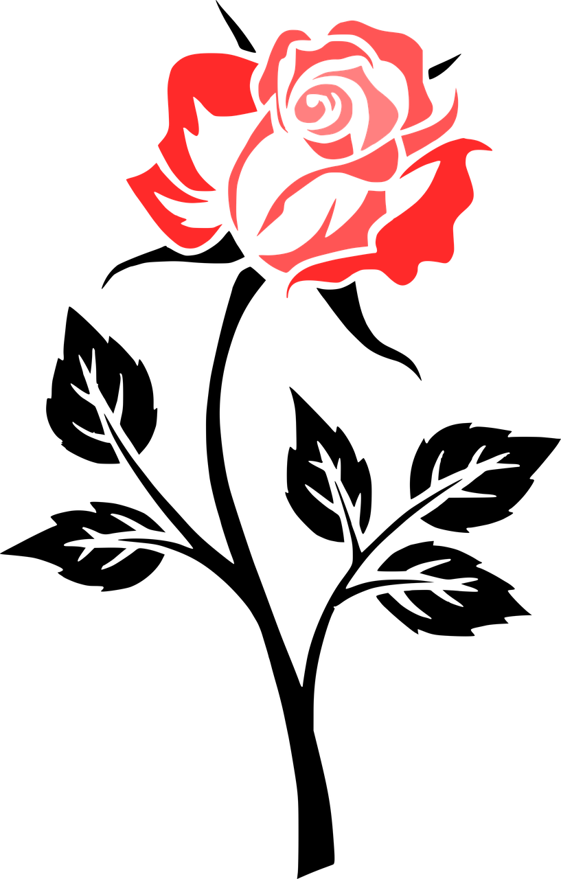 Flower Rose Contour Outlines Png Image Black And White Rose Png