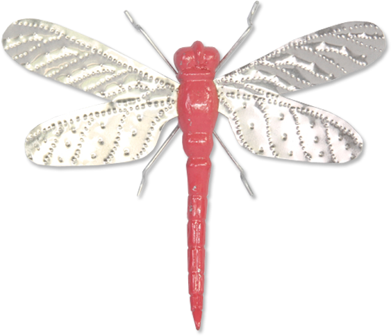 600 X 600 11 0 - Dragonfly Clipart (600x600), Png Download