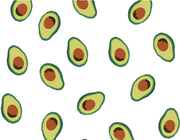 Avocado Png Clipart (640x480), Png Download
