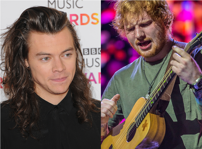 Harry Styles, Do One Direction, Deu Violão Que Ed Sheeran - Dua Lipa Harry Styles Clipart (1200x630), Png Download