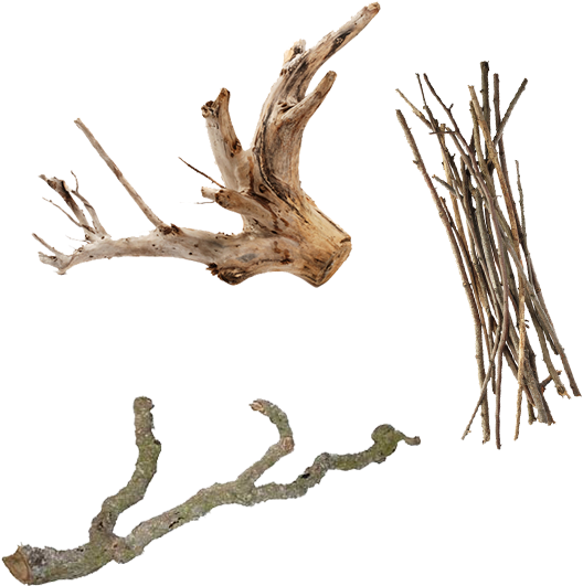 Photo By - - Stock Photography Clipart (600x600), Png Download