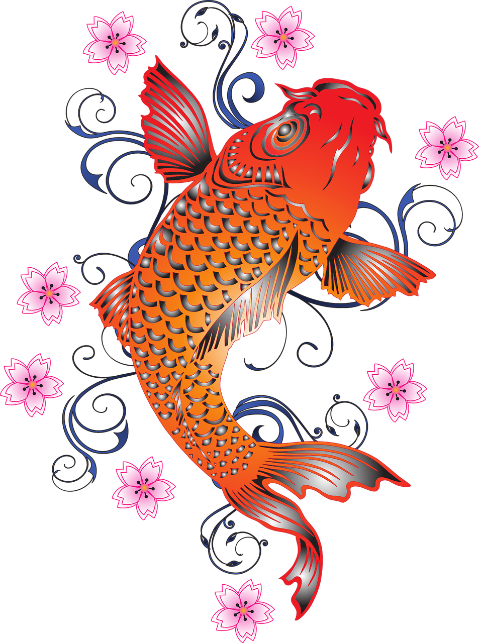 Asia Orange Koi Fish - รูปภาพ ปลา คา ร์ ฟ Clipart (666x800), Png Download