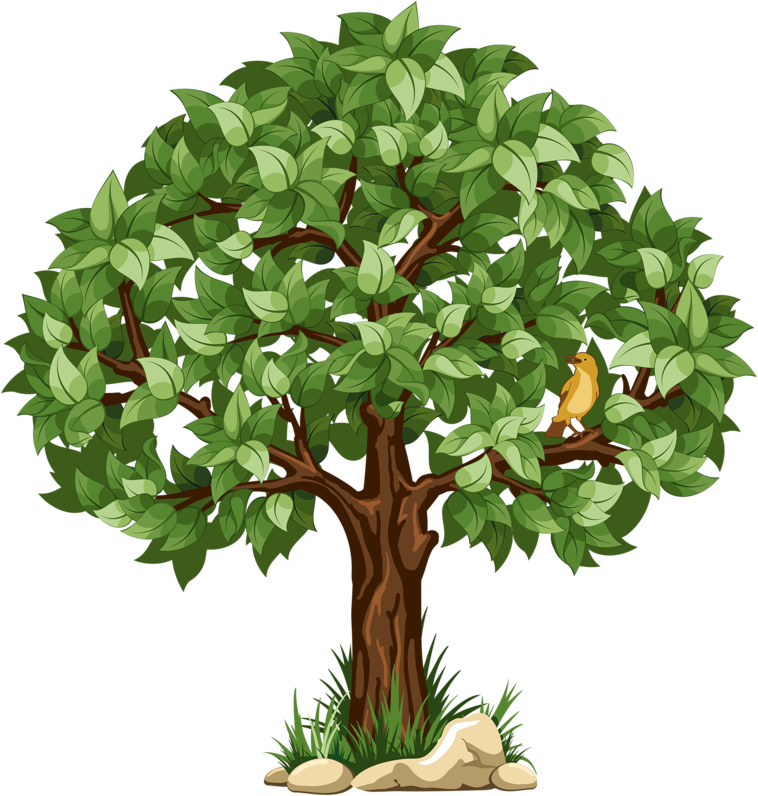 Shrub Bushes Clipart Arbres - Transparent Background Tree Clipart - Png Download (600x621), Png Download
