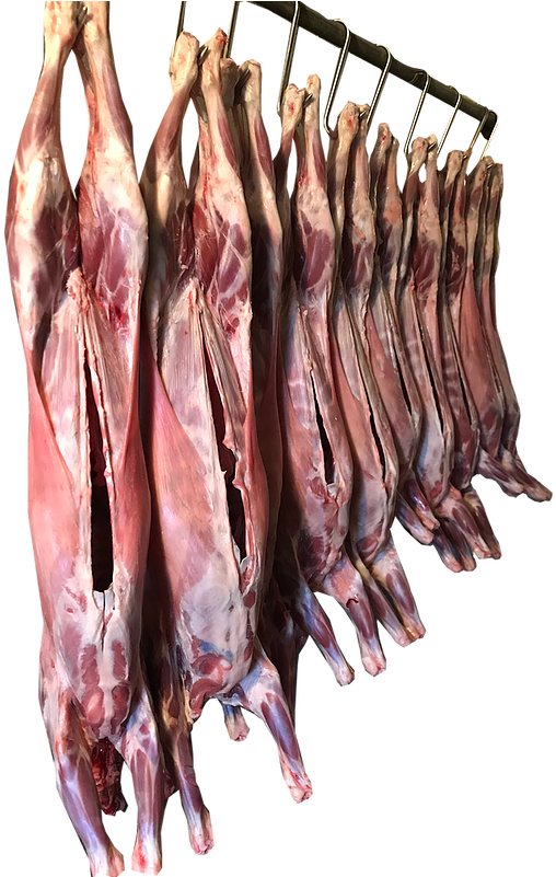 Meat - Lamb And Mutton Clipart (600x800), Png Download