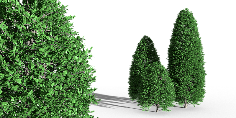 Blender Market - Christmas Tree Clipart (800x400), Png Download
