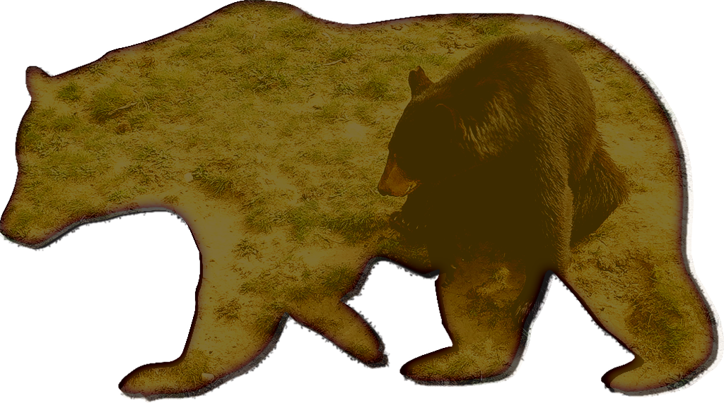 Black Bear Ranch - Bear Clipart Black And White - Png Download (1024x571), Png Download