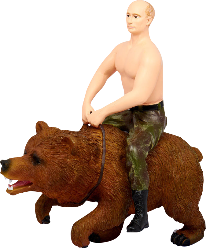Oso Putin - Putin On Bear Transparent Clipart (674x811), Png Download