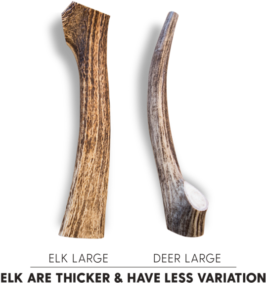 Most Dogs Love Both Types Of Antler Equally - Types Of Dog Antlers Clipart (538x572), Png Download
