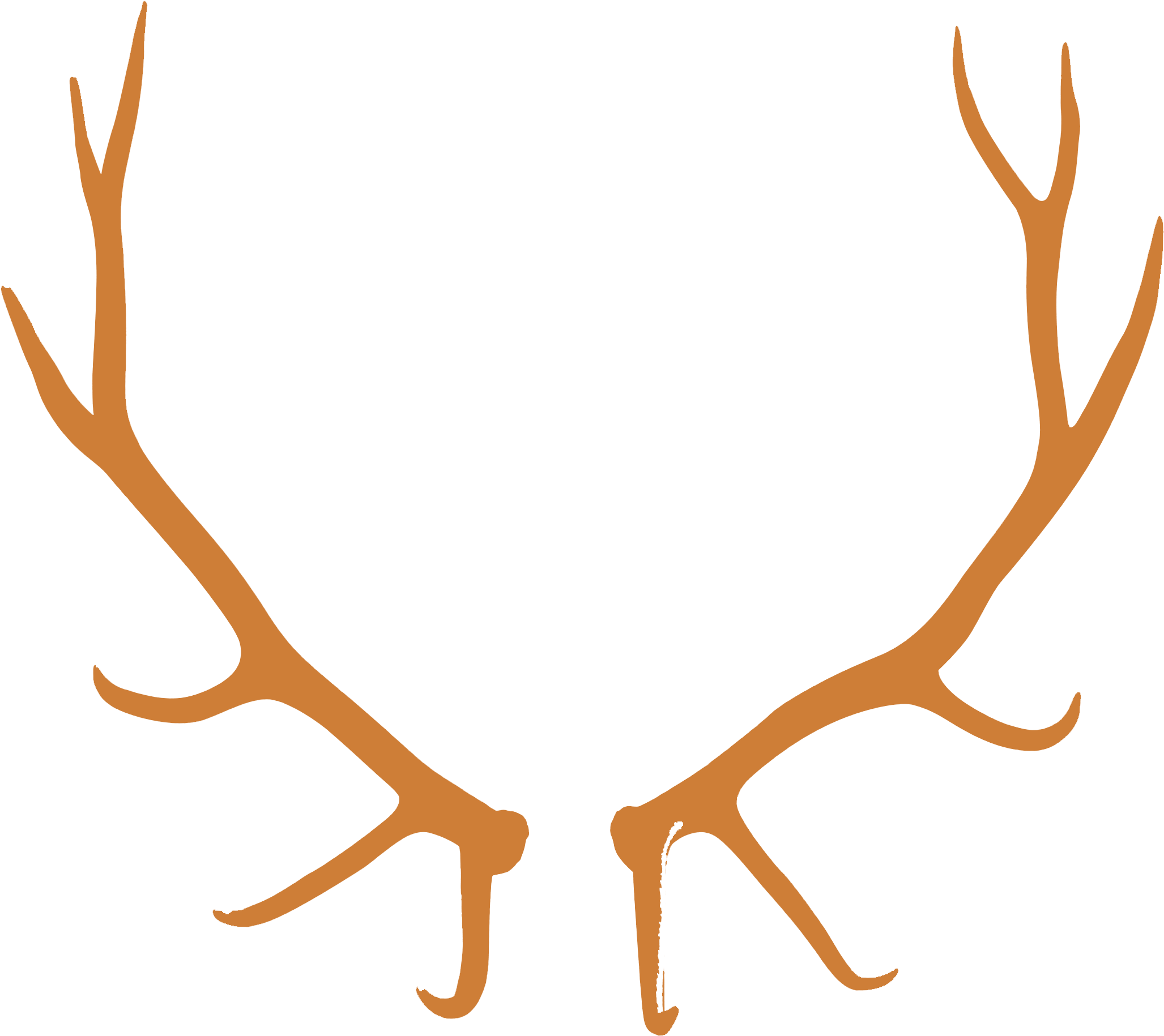 Antlers Png For Kids - Bull Elk European Mount Clipart (2160x1950), Png Download