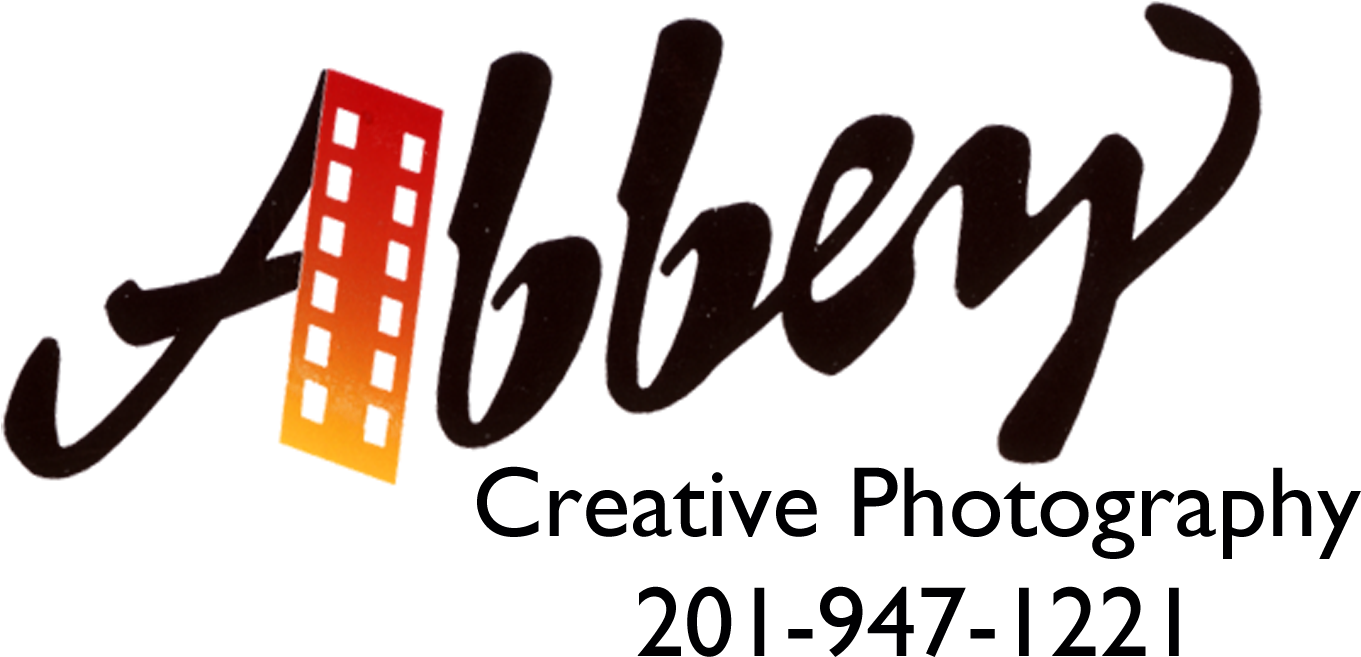 Bergen County, Palisades Park Nj, Wedding Photographers - Graphic Design Clipart (1421x729), Png Download