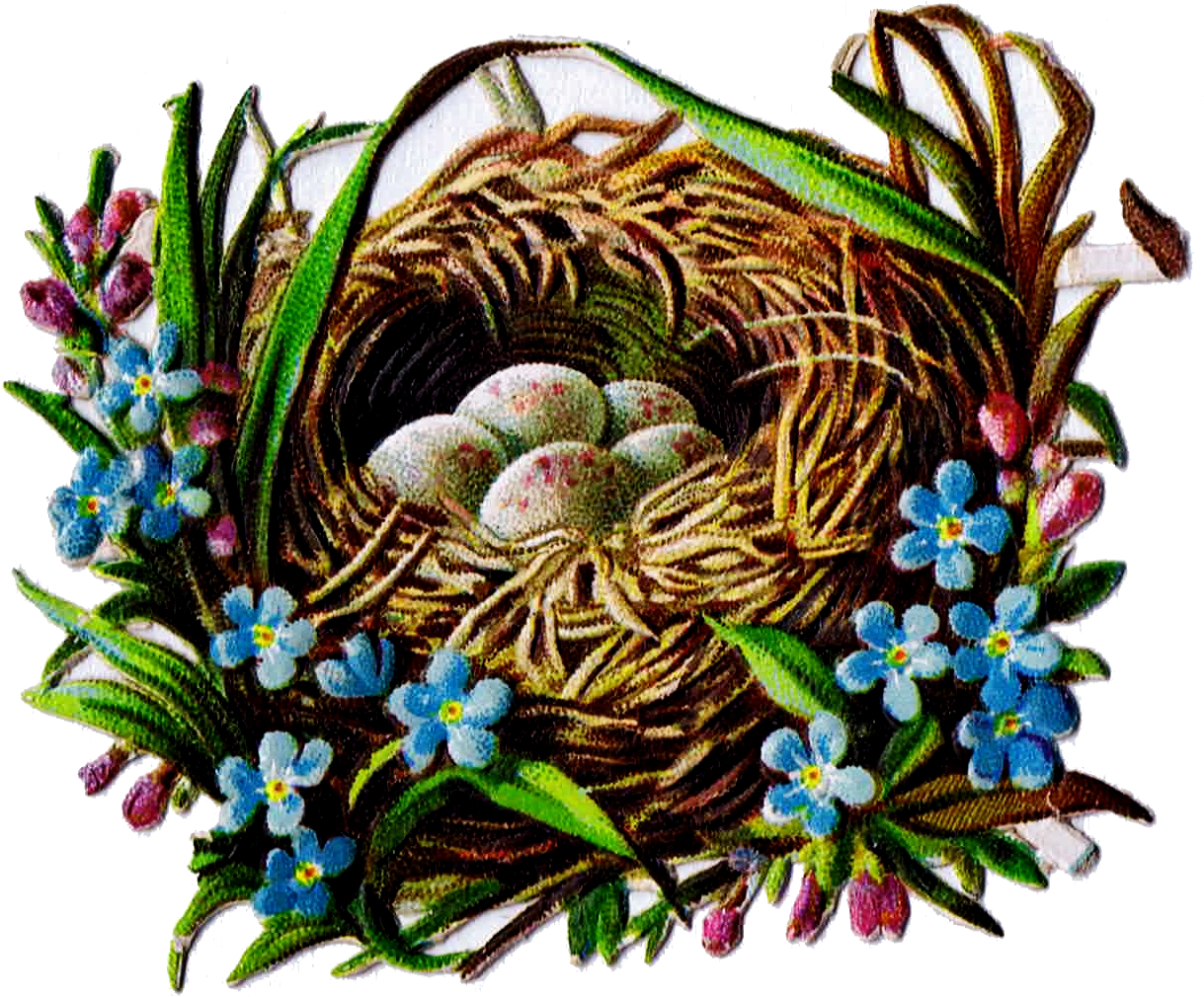 Nest Clipart Nesting - Clip Art - Png Download (1246x1036), Png Download