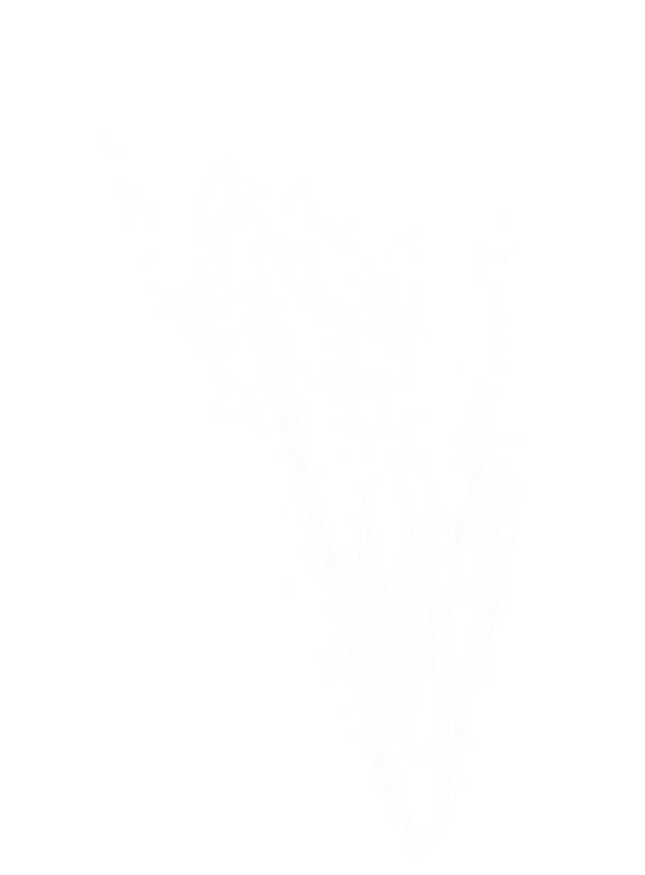 Light Png Free Download - Up Light Png Clipart (600x824), Png Download