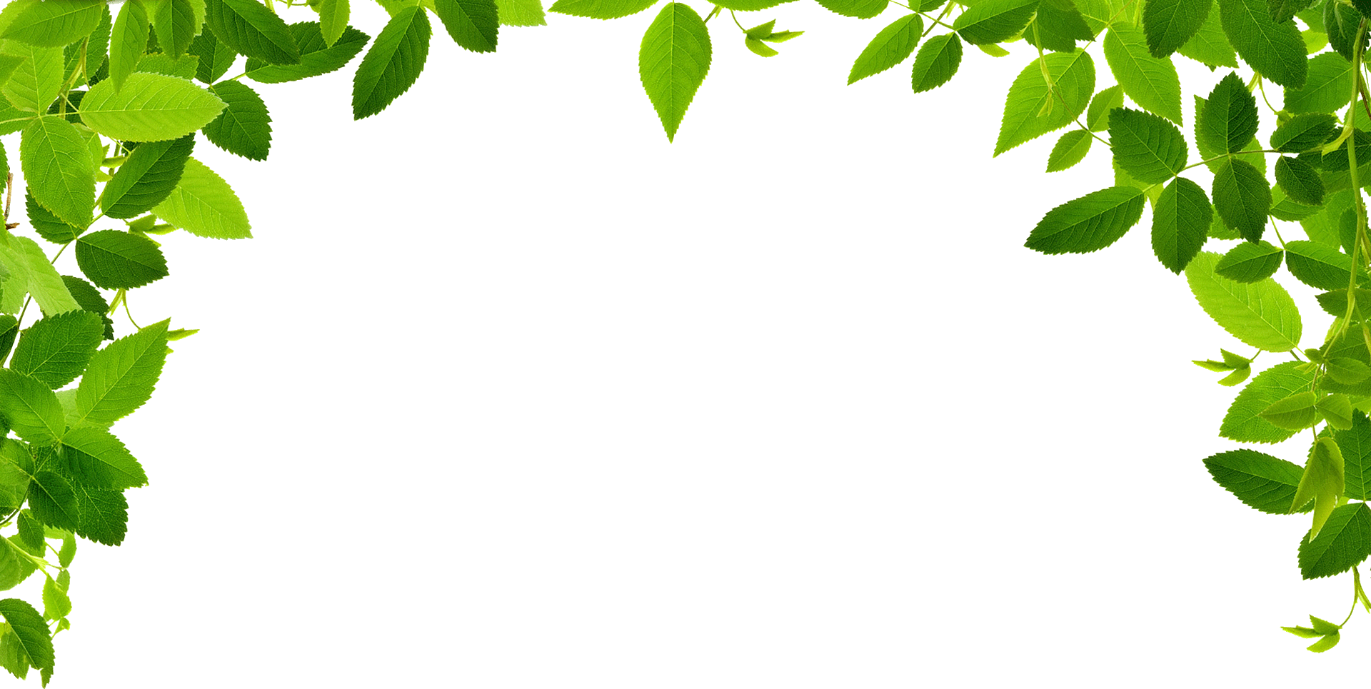 Jungle Vines Png - Leaves Border Clipart Png Transparent Png (1920x965), Png Download