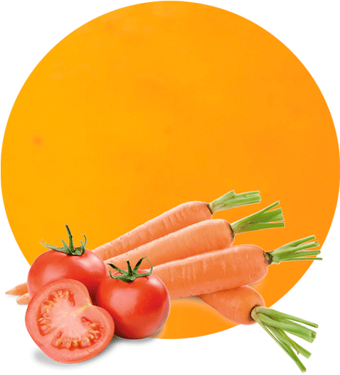 Com/wp And Carrot Concentrate - Plum Tomato Clipart (536x595), Png Download