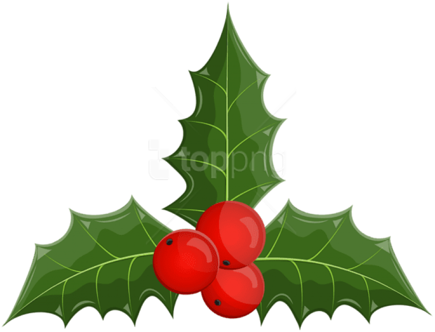 Free Png Christmas Holly Mistletoe Png - Clip Art Transparent Png (850x649), Png Download