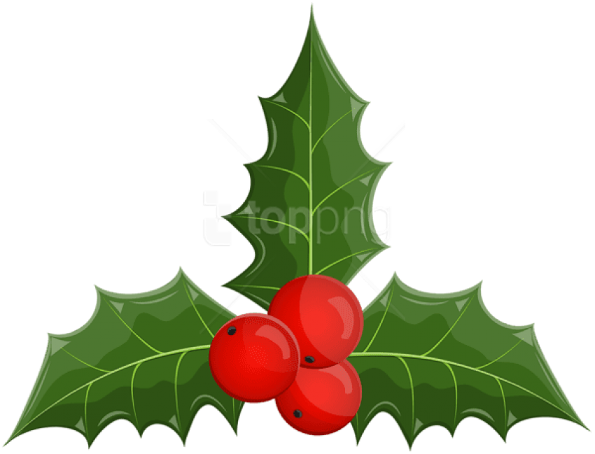 Free Png Christmas Holly Mistletoe Png Clip Art Transparent Png Large Size Png Image Pikpng