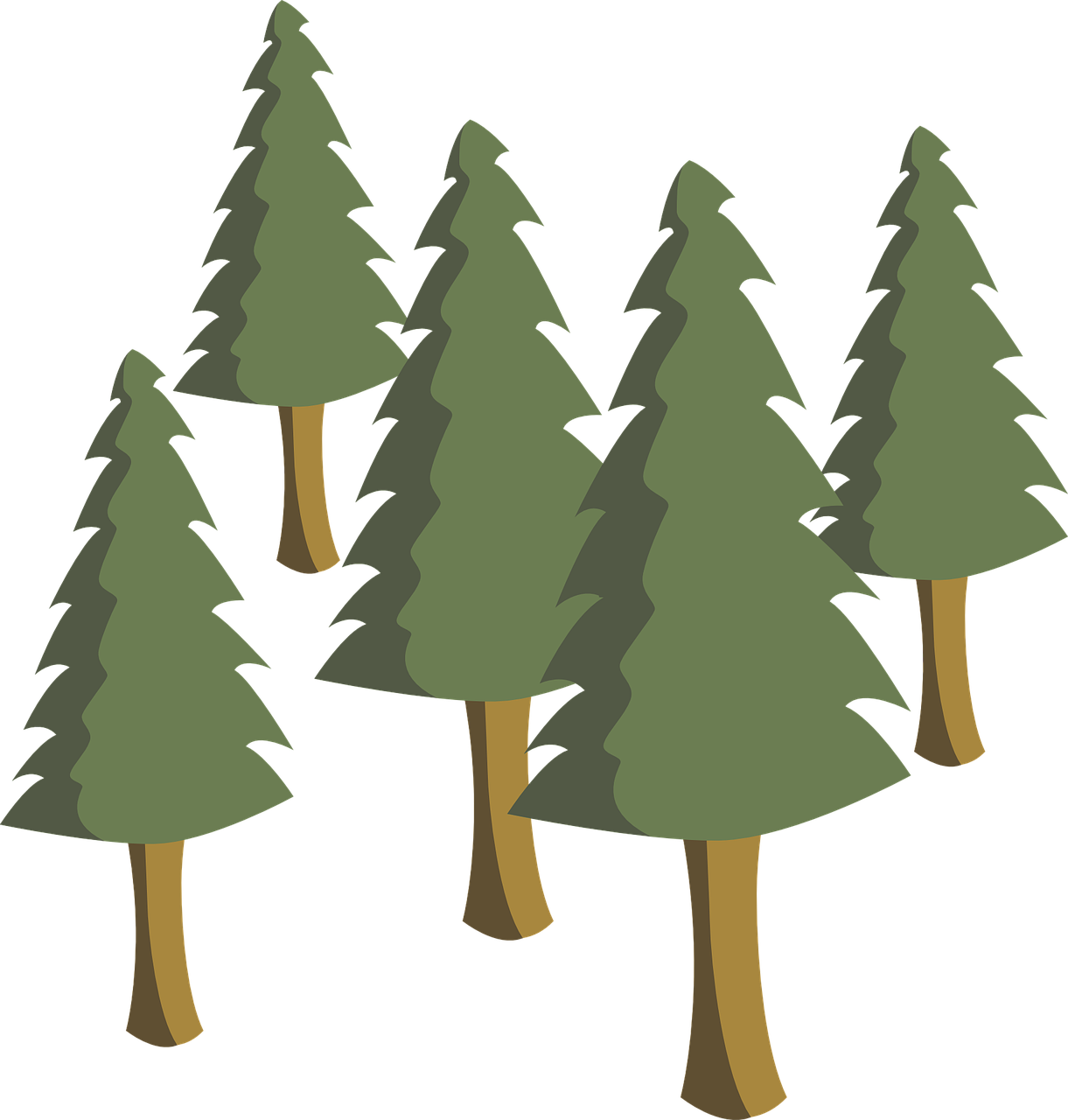 Trees Pines Pine Trees Tree Png Image - Pine Trees Illustration Png Clipart (1221x1280), Png Download