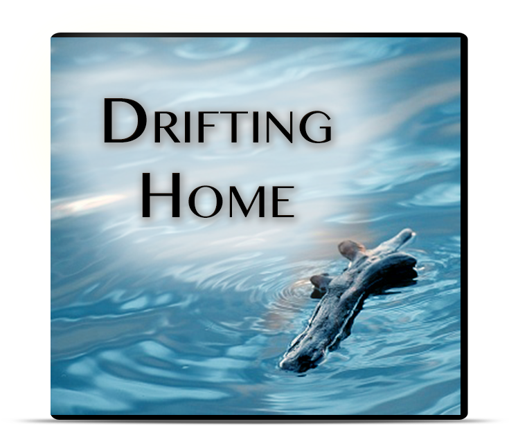 Piece Of Driftwood In Water , Png Download - Floating Driftwood Clipart (735x616), Png Download