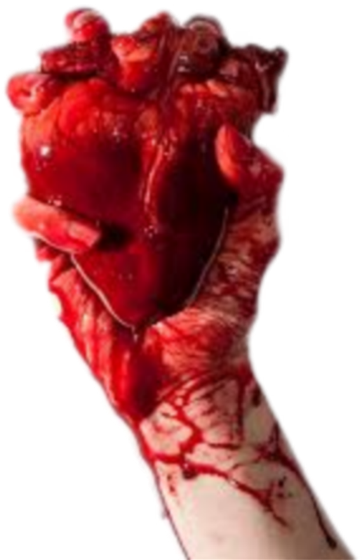#humanheart #hand #handholding #blood #heart - Real Heart Of Human Clipart (1024x1024), Png Download