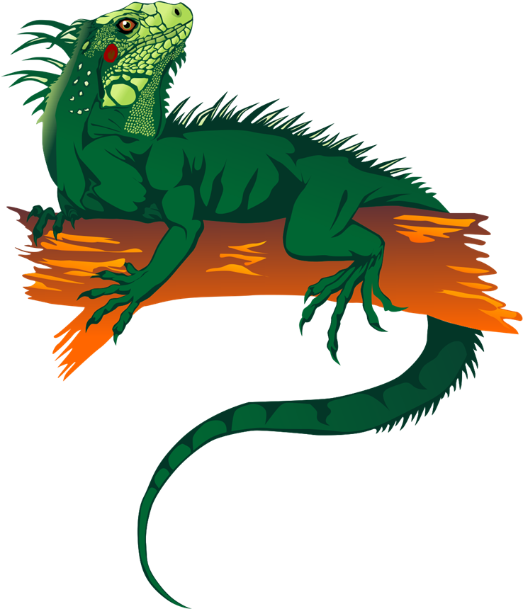 Iguanas Loki S - Iguana Clipart Png Transparent Png (800x955), Png Download
