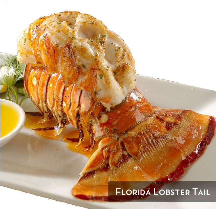 Florida Lobster Tail 1 3 - Florida Lobster Tail Clipart (750x750), Png Download