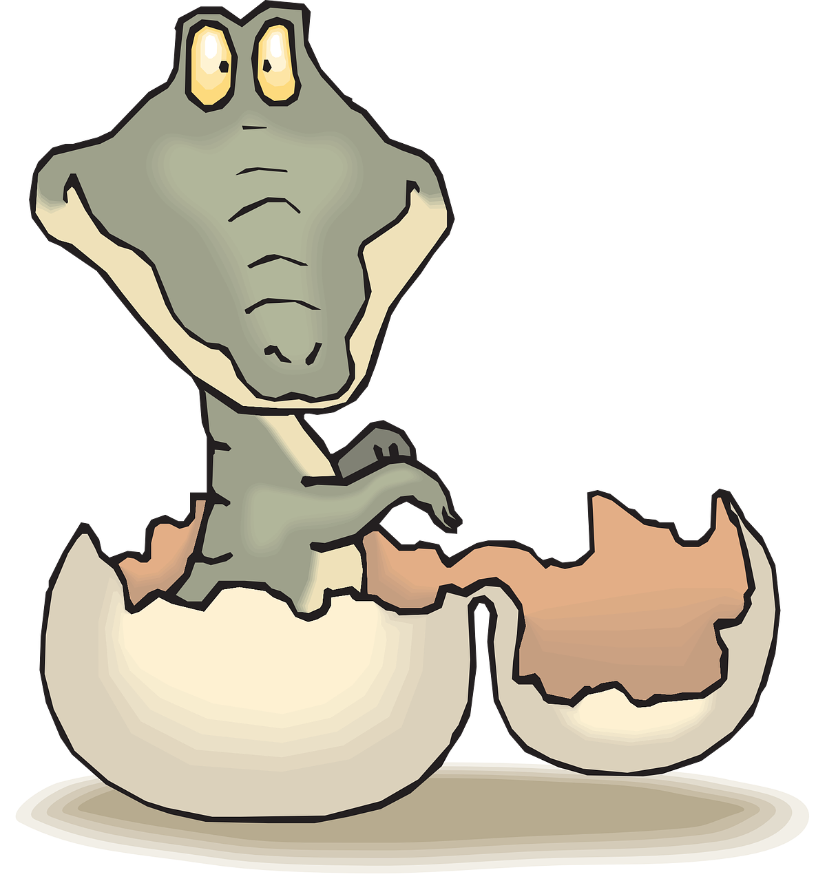 Alligator Hatch Baby Egg Shell Png Image - Crocodile Hatching Clipart Transparent Png (1201x1280), Png Download