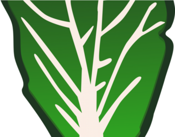 Kale Clipart Cartoon - Vegetable Clip Art - Png Download (640x480), Png Download