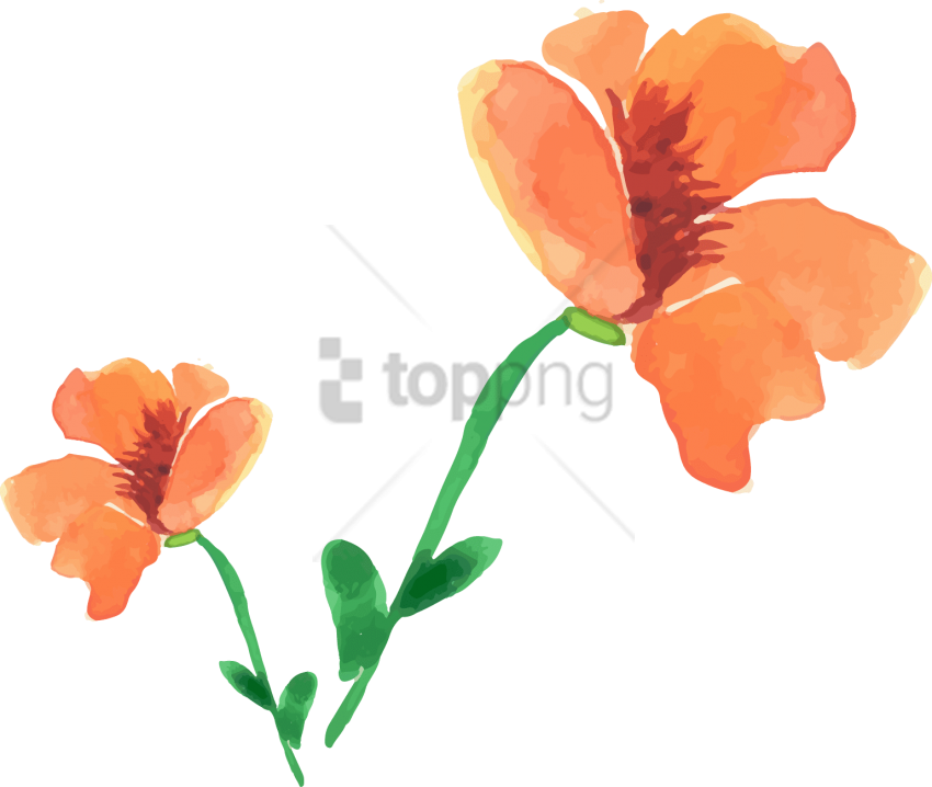 Free Png Watercolor Painting Png Image With Transparent - Artificial Flower Clipart (850x718), Png Download