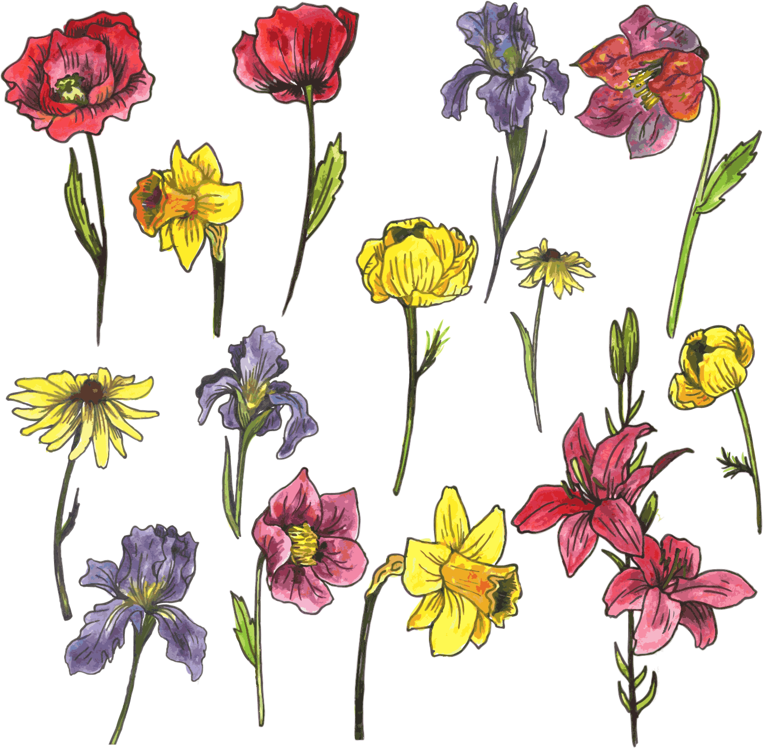 Watercolor Painting Euclidean Vector Flower - Flores Vector Free Clipart (1510x1480), Png Download