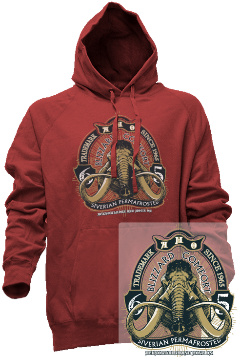 2 Nano Hood 80% Ringspun Cotton, 20% Polyester Contrast - Hoodie Clipart (498x733), Png Download