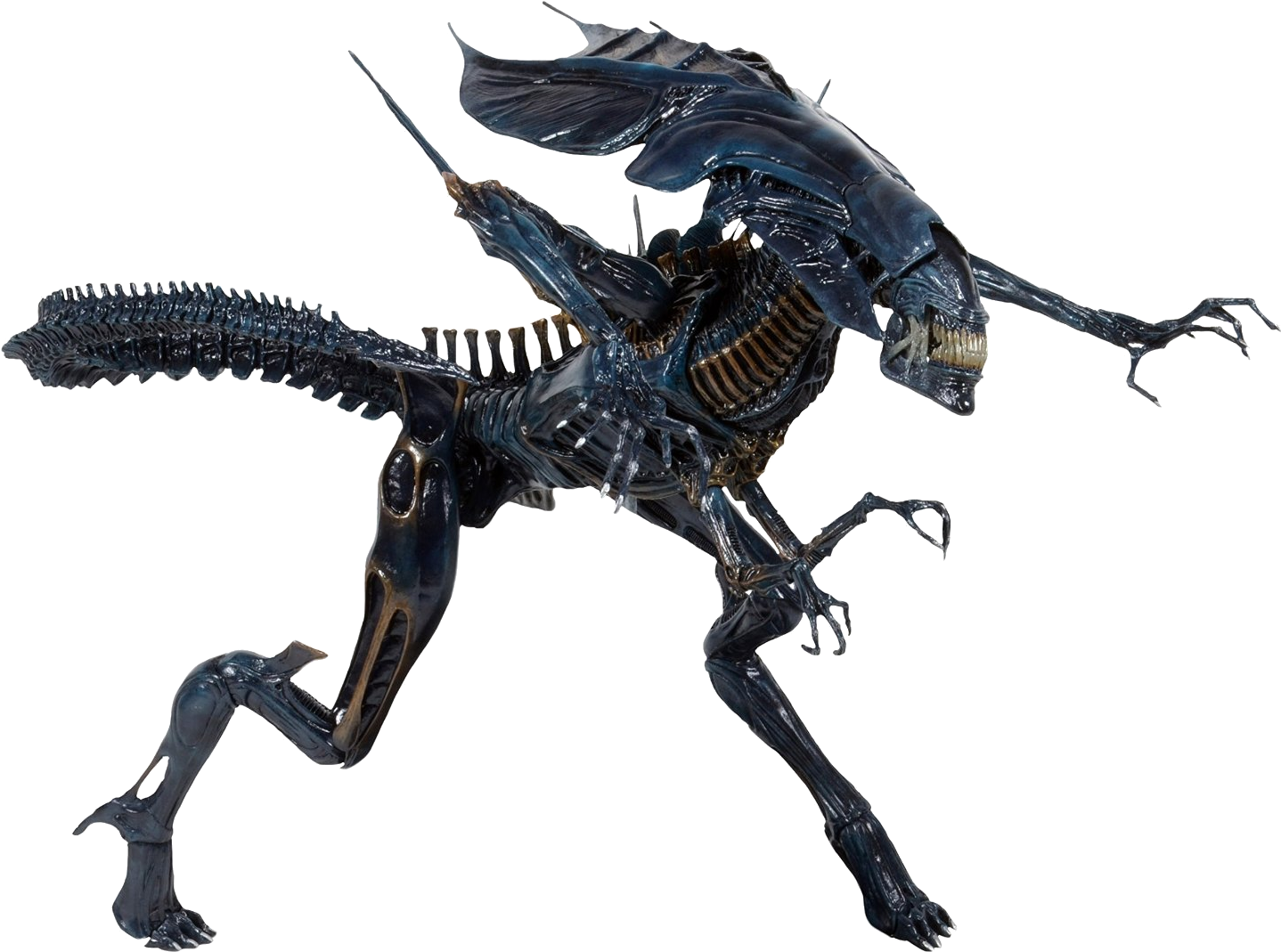 Alien Queen Neca , Png Download - Alien Alien Vs Depredador Clipart (1438x1069), Png Download