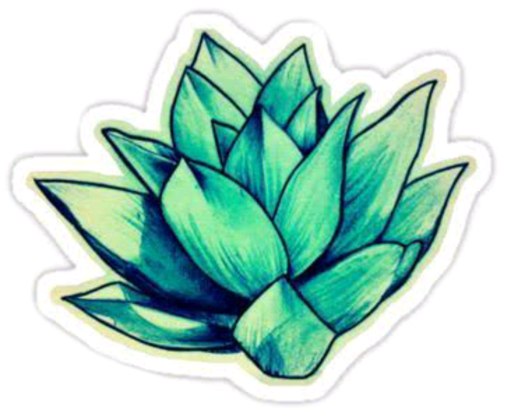 Doğa Çiçek Tumblr Stickers Png Tumblr Stickers Plant - Flower Stickers Clipart (1050x852), Png Download