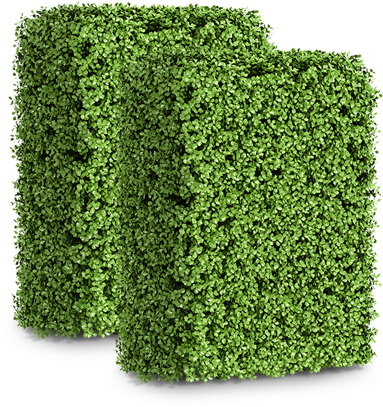 Small Boxwood Artificial Hedge Clipart (800x800), Png Download