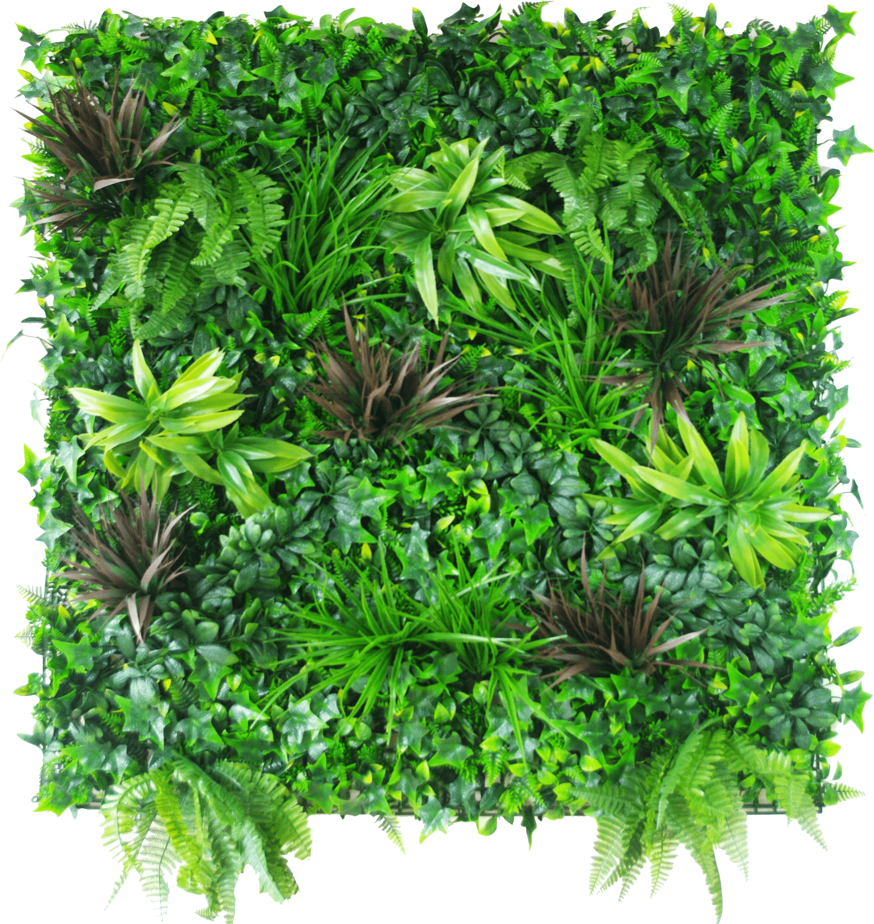 Coastal Greenery Vertical Garden - Vertical Plant Wall Png Clipart (2907x3099), Png Download