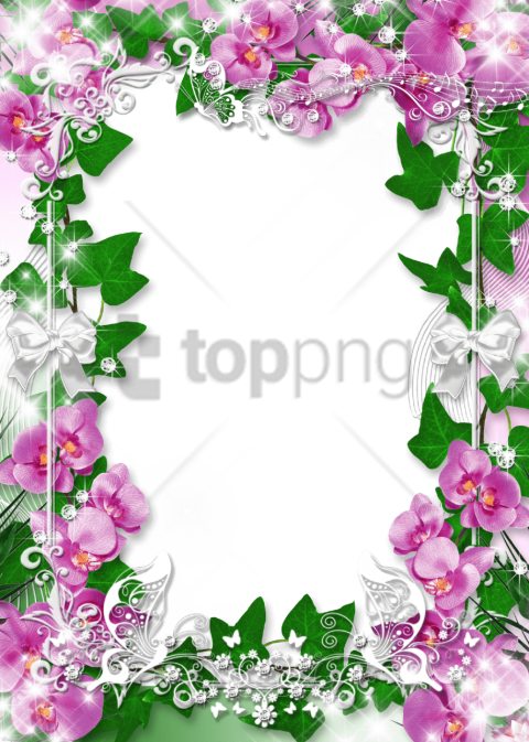 Free Png Orchid Flower Frame Png Image With Transparent - Orchids Frames And Border Design Clipart (480x673), Png Download