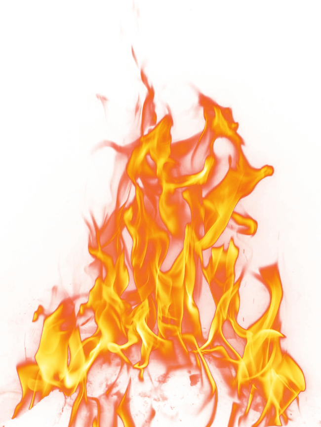 Fire Flame Png Image High Quality Clipart - Transparent Fire Png (650x866), Png Download